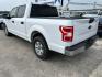 2019 White Ford F-150 (1FTEW1C55KK) with an 5.0L V8 F DOHC 32V engine, Automatic transmission, located at 1687 Business 35 S, New Braunfels, TX, 78130, (830) 625-7159, 29.655487, -98.051491 - Photo#7